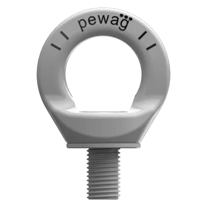 Ringschraube Typ RSPE inox
